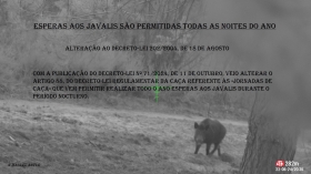 Bem-vindos ao site www.cacaepesca.pt - www.cacaepesca.pt